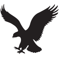 Logo of AEO - American Eagle Outfitters