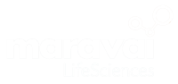 Logo of MRVI - Maravai Lifesciences Holdings 